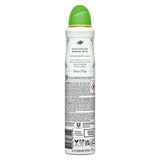 Dove Bridgerton Love & Meadows deodorant aerosol (British brand)