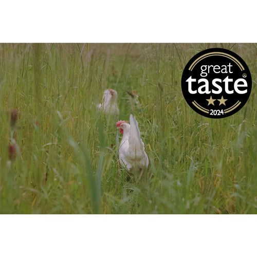 Packington free range white eggs 6 pack, imported from the UK