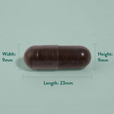 Holland  Barrett High Strength Bee Propolis 1000mg Capsules