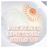 Duck Toilet Fresh Discs Holder Mango-Verse 36ml