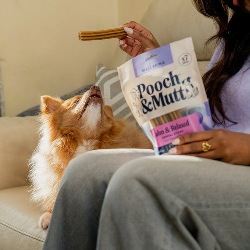 Pooch & Mutt calming dental sticks for dogs 7 pack, imported from the UK