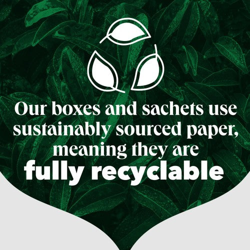 PG Tips decaf plant based biodegradable tea bags, imported from the UK