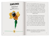 LEGO Botanicals Tiny Wildflower Bouquet building set 95 pieces, imported from the UK