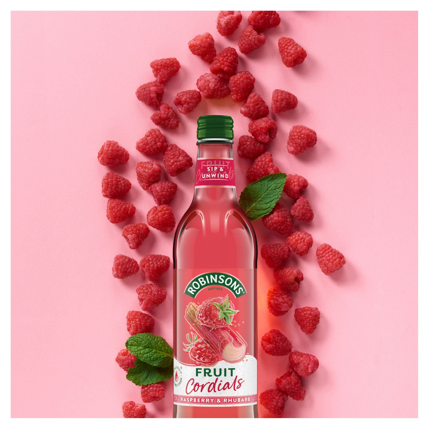 Robinsons raspberry and rhubarb fruit cordial 500ml, imported from the UK