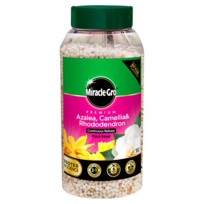 Miracle-Gro plant food for azalea camellia rhododendron 900g - British product