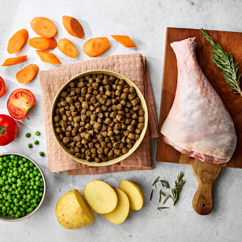 Naturo turkey dog food 2kg, imported from the UK