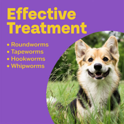 Bob Martin Clear 3in1 Flavoured Wormer Tablets for Dogs 2 Tablets - British product