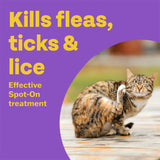 Bob Martin spot-on solution for cats and ferrets 2 pipettes - British product