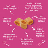 Webbox Tid-Bits Salmon cat treats 30g pack (British brand)