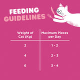 Webbox Tid-Bits Salmon cat treats 30g pack (British brand)