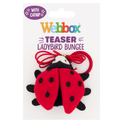 ASDA Webbox Teaser Ladybird Bungee Cat Toy- Buy online at McGrocer