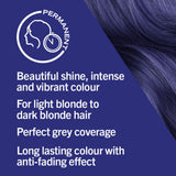 Schwarzkopf LIVE Intense Colour Blue Berry hair dye (British brand)