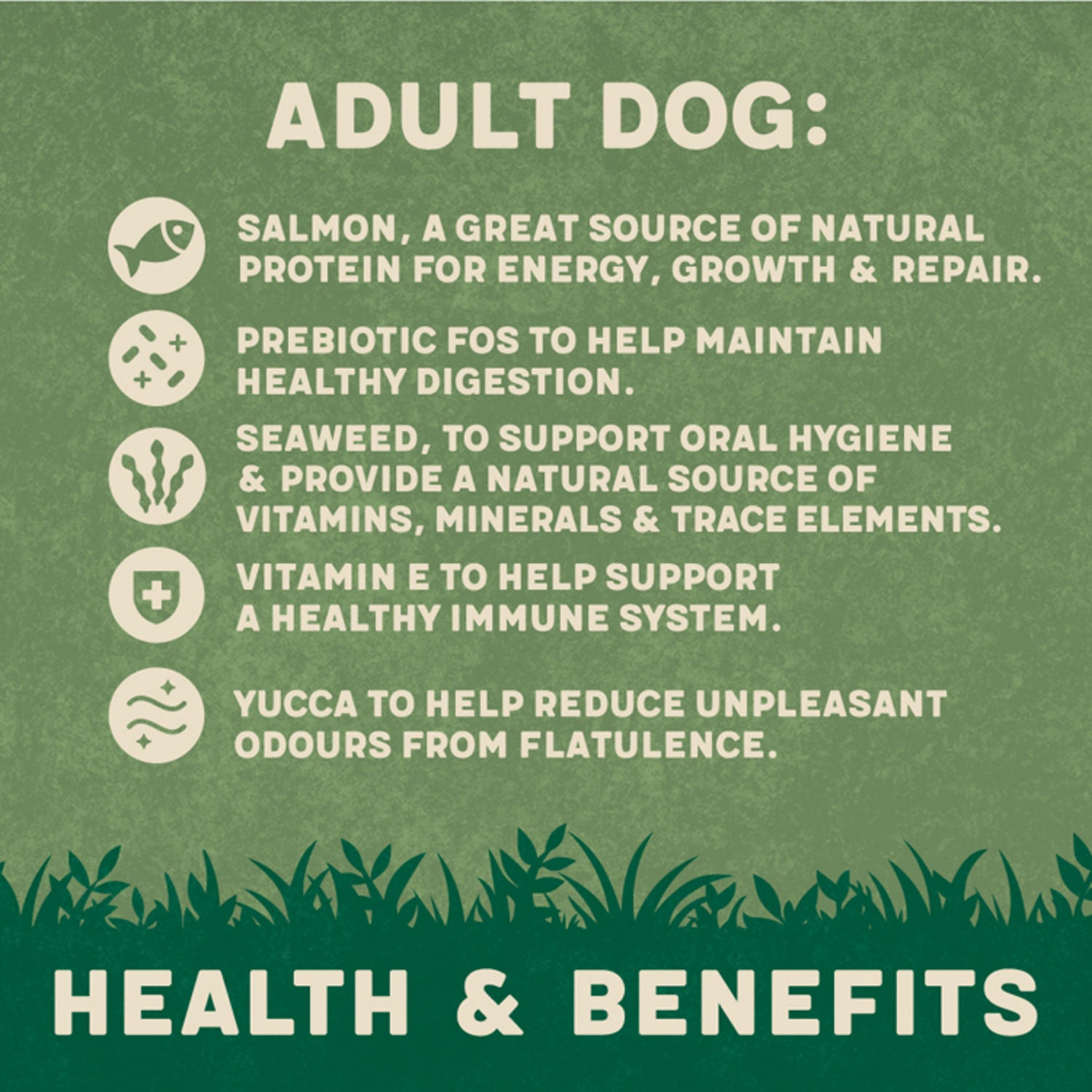 Harringtons Adult Dog Food Salmon & Potato 12kg, UK version