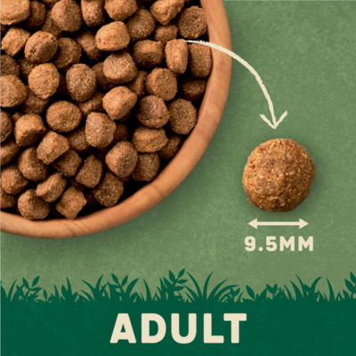 Harringtons Adult Dog Food Salmon & Potato 12kg, UK version