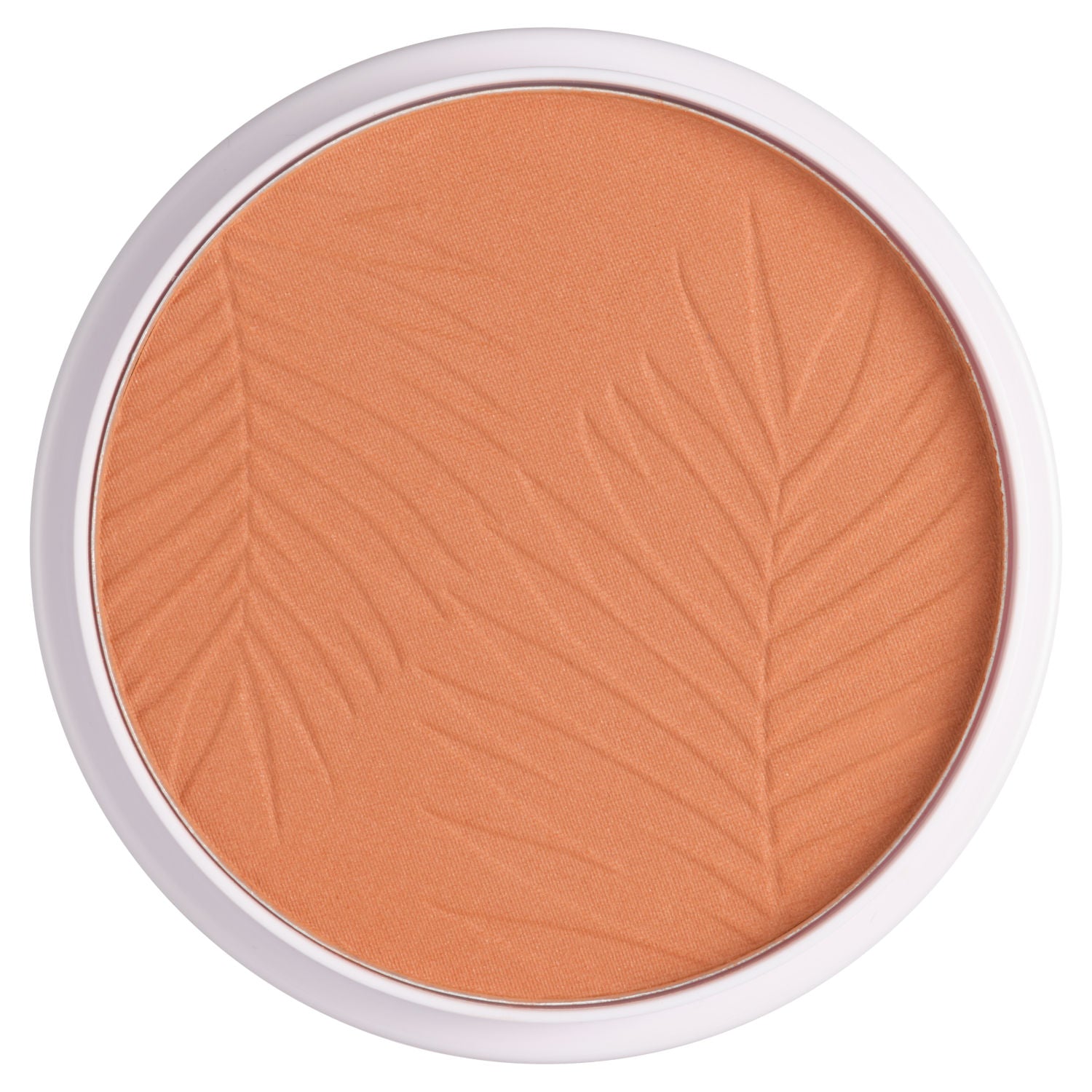 Collection bronze glow matte powder Terracotta - British product