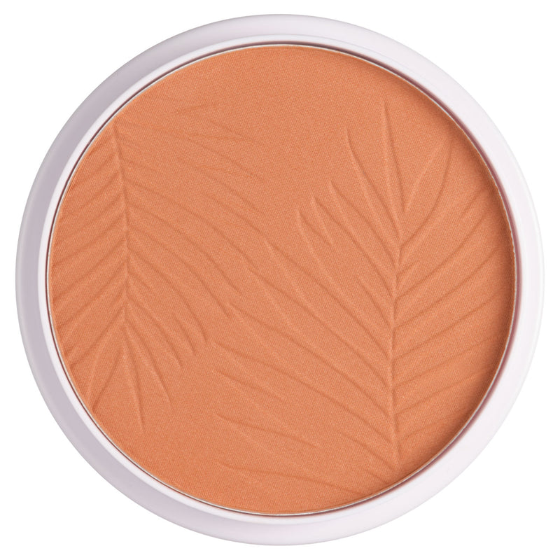 Collection bronze glow matte powder Terracotta - British product