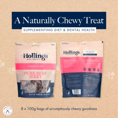 Hollings dog treats pure beef jerky 100g (British brand)