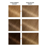 Garnier hair dye shade 7 Natural Dark Blonde - British product