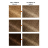 Garnier Belle Color hair dye 7.1 Natural Dark Ash Blonde, UK version