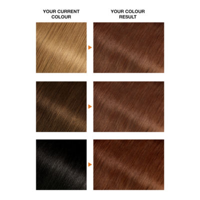 Garnier Belle Belle Color 5.5 Natural Light Auburn Permanent Hair Dye