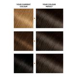 Garnier Belle Color Natural Dark Brown hair dye, UK version