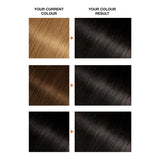 Garnier Belle Color 1 Black Permanent Hair Dye, UK version