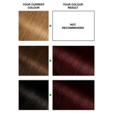 Garnier Nutrisse hair dye deep reddish brown, UK version