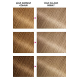 Garnier Nutrisse Hair Dye 9 Light Blonde , UK version