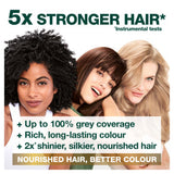 Garnier Nutrisse 5 Brown Permanent Hair Dye