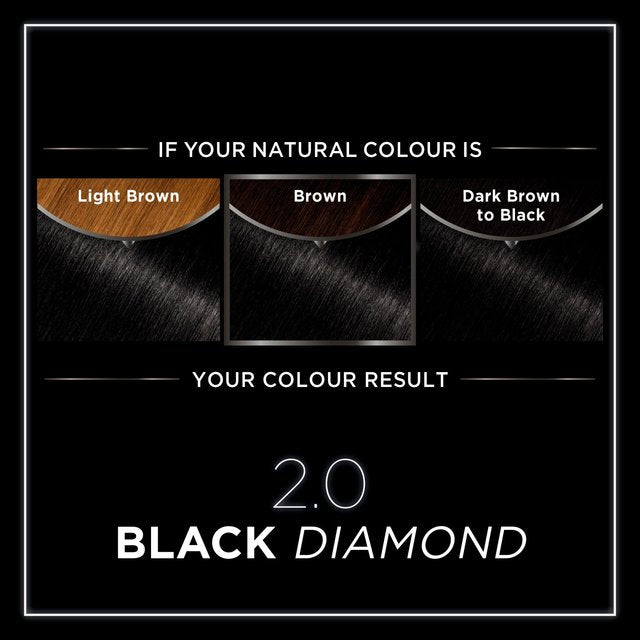 Garnier Olia 2.0 Black Diamond Permanent Hair Dye GOODS M&S   