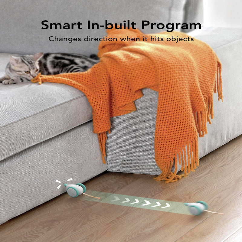 PETLIBRO Pixie Mouse cat toy with rolling lights and self-righting design (British brand)