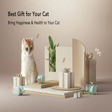 PETLIBRO Pixie Mouse cat toy with rolling lights and self-righting design (British brand)