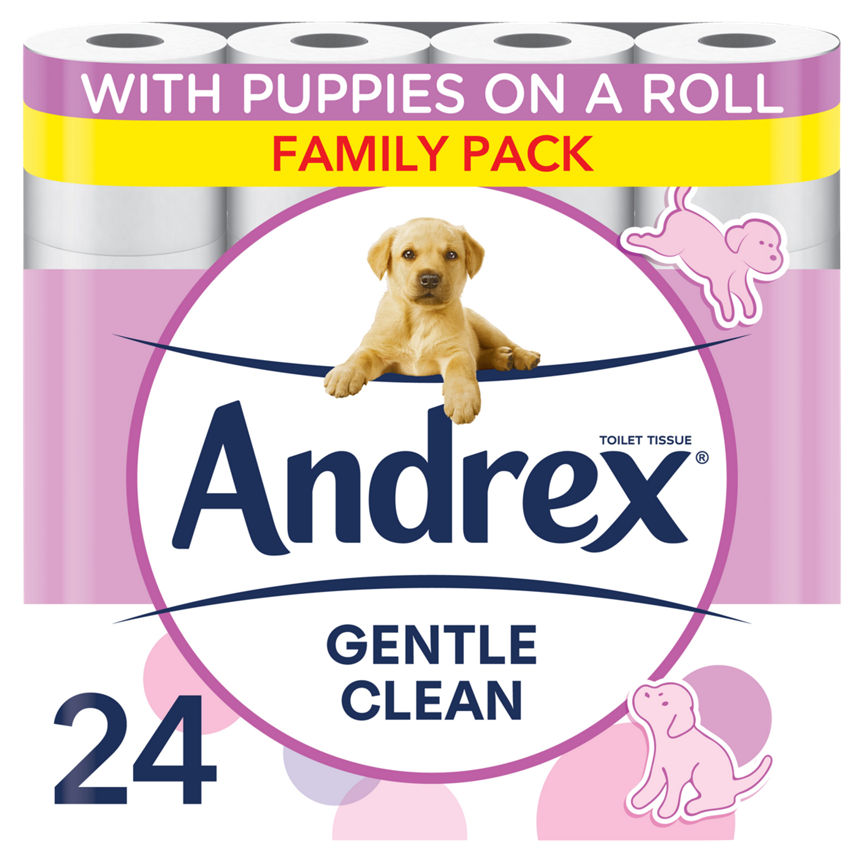 Andrex Gentle Clean Toilet Tissue, 24 Rolls