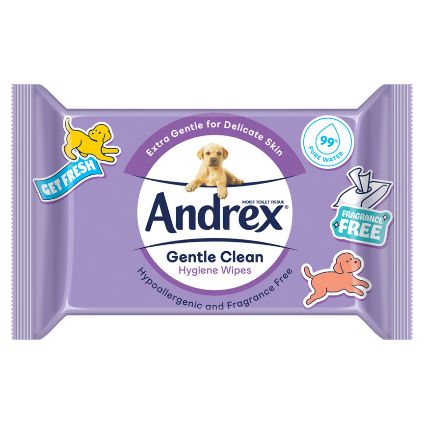 Andrex Gentle Clean Moist Toilet Tissue - Hygiene Wipes Single Pack 36 Sheets GOODS ASDA   