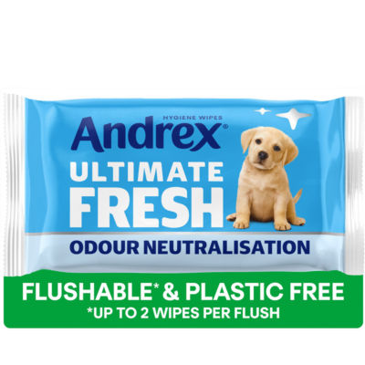 Andrex Ultimate Fresh Odour Control Moist Toilet Tissue Wipes 36 sheets - British product