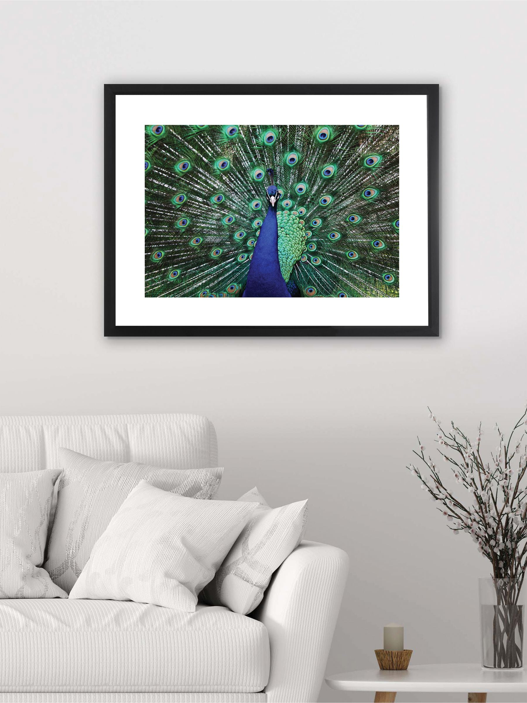 Brookpace Lascelles blue peacock fan artwork 30x22 inch matt black frame, imported from the UK