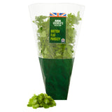 ASDA Flat Leaf Parsley Growing Herb - British product