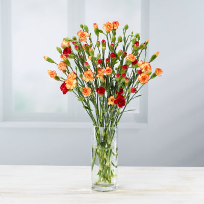 Large body spray Carnation's, imported from the UK