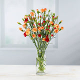 Large body spray Carnation's, imported from the UK