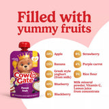 Cow & Gate fruit pouch forest fruit 100g - British product