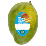 ASDA Large Tropical Mango Fresh Fruit Import - British product