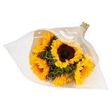ASDA Sonnenblumenöl-Produkt (britische Marke)