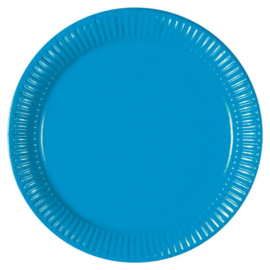 George Home 12 Blue Paper Plates GOODS ASDA   