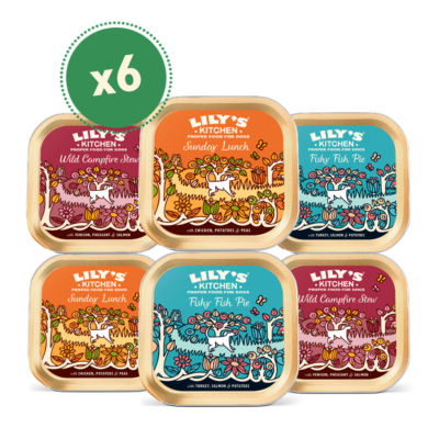 Lily's Kitchen grain free multipack wet dog food 6 150g trays, UK version