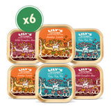 Lily's Kitchen grain free multipack wet dog food 6 150g trays, UK version