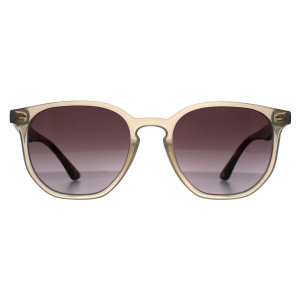 Ted Baker TB1655 Dock grey gradient sunglasses (British brand)