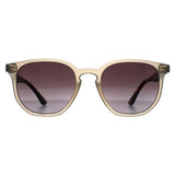 Ted Baker TB1655 Dock grey gradient sunglasses (British brand)