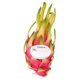 Love Me Tender Dragon Fruit imported from the UK