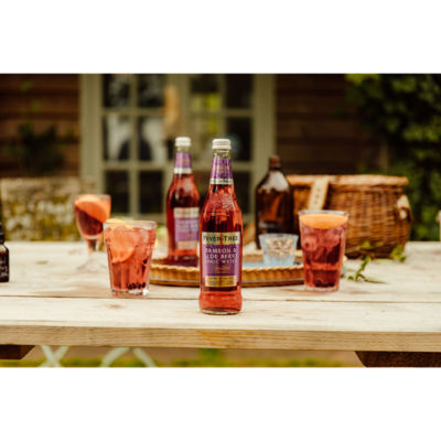 Fever-Tree Damson & Sloe Berry Tonic Water 500ml - British product