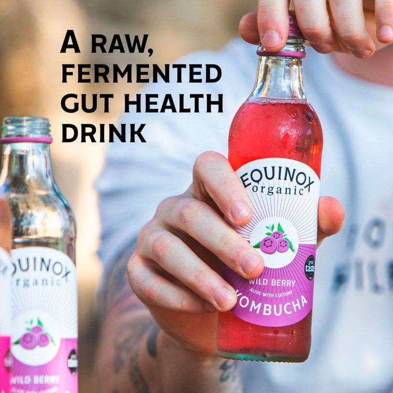 Equinox wild berry kombucha drink 275ml - British product